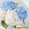 White Blue Pair Hydrangea 4pcs 21"
