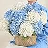 White Blue Pair Hydrangea 4pcs 21"