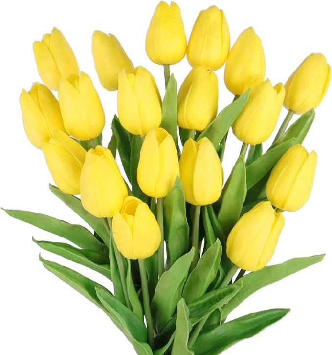 Golden Yellow Meadow Tulip 14"