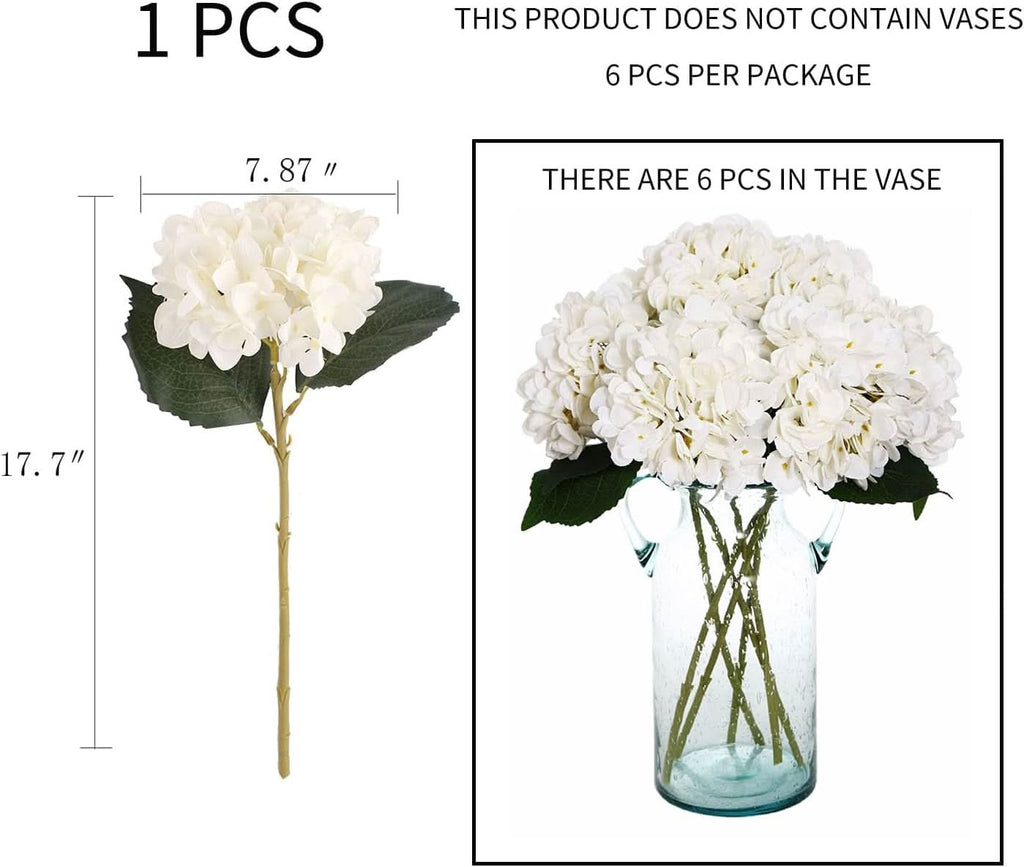 Ivory Garden Hydrangea