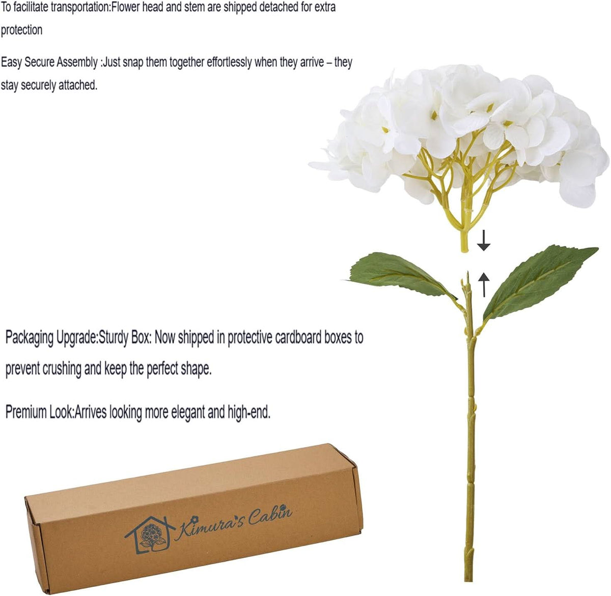 Ivory Garden Hydrangea