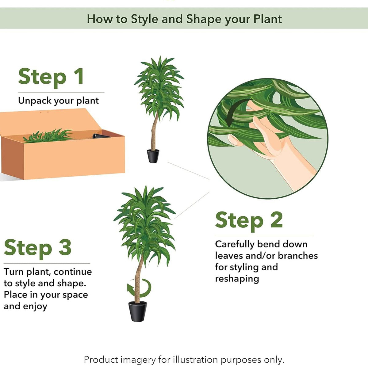 Golden Canopy Dracaena