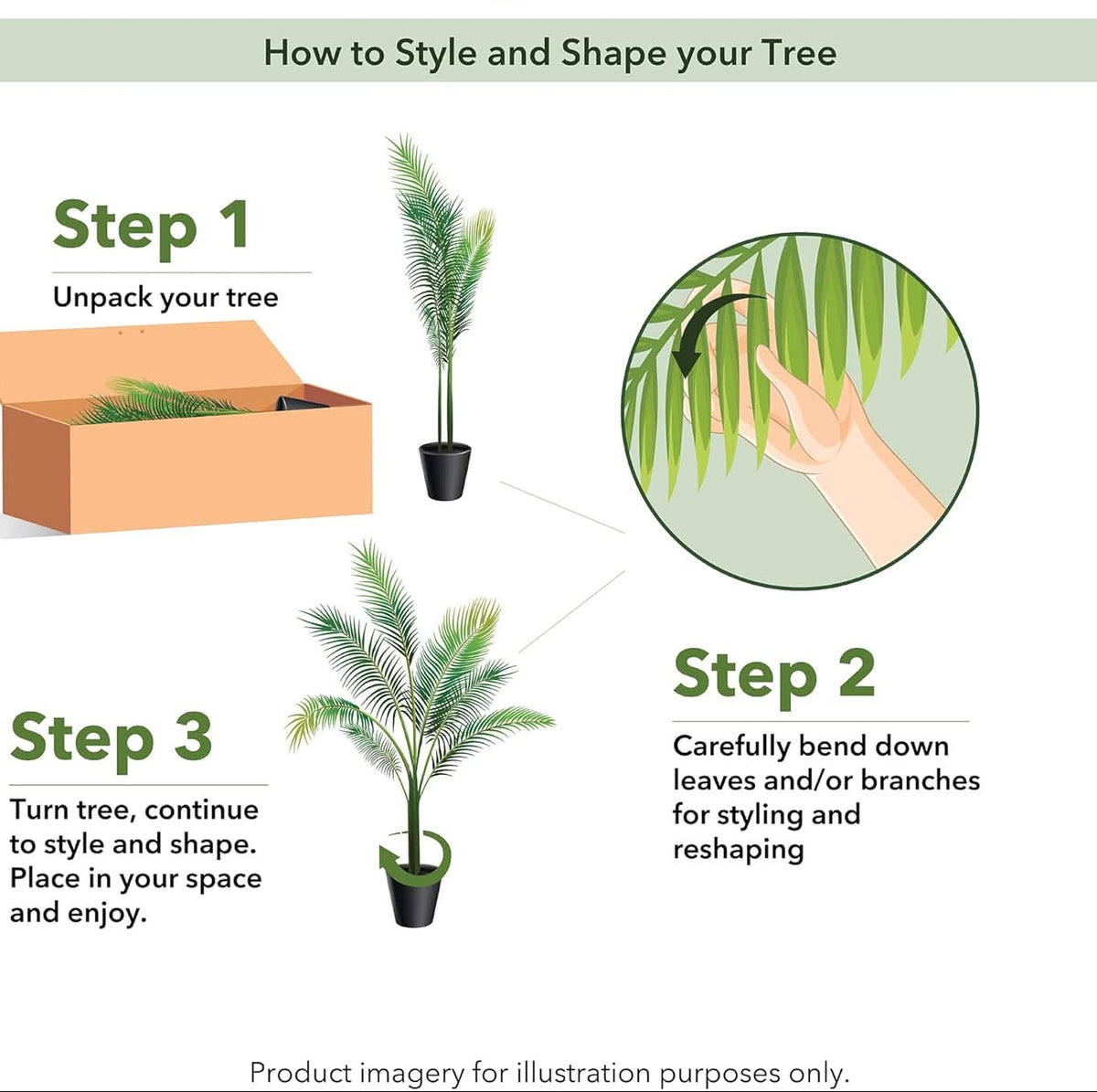 Palm Haven Cane Palm