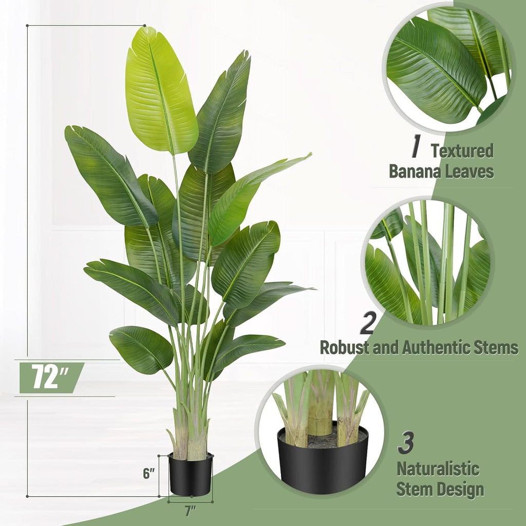 Emerald Oasis Bird of Paradise