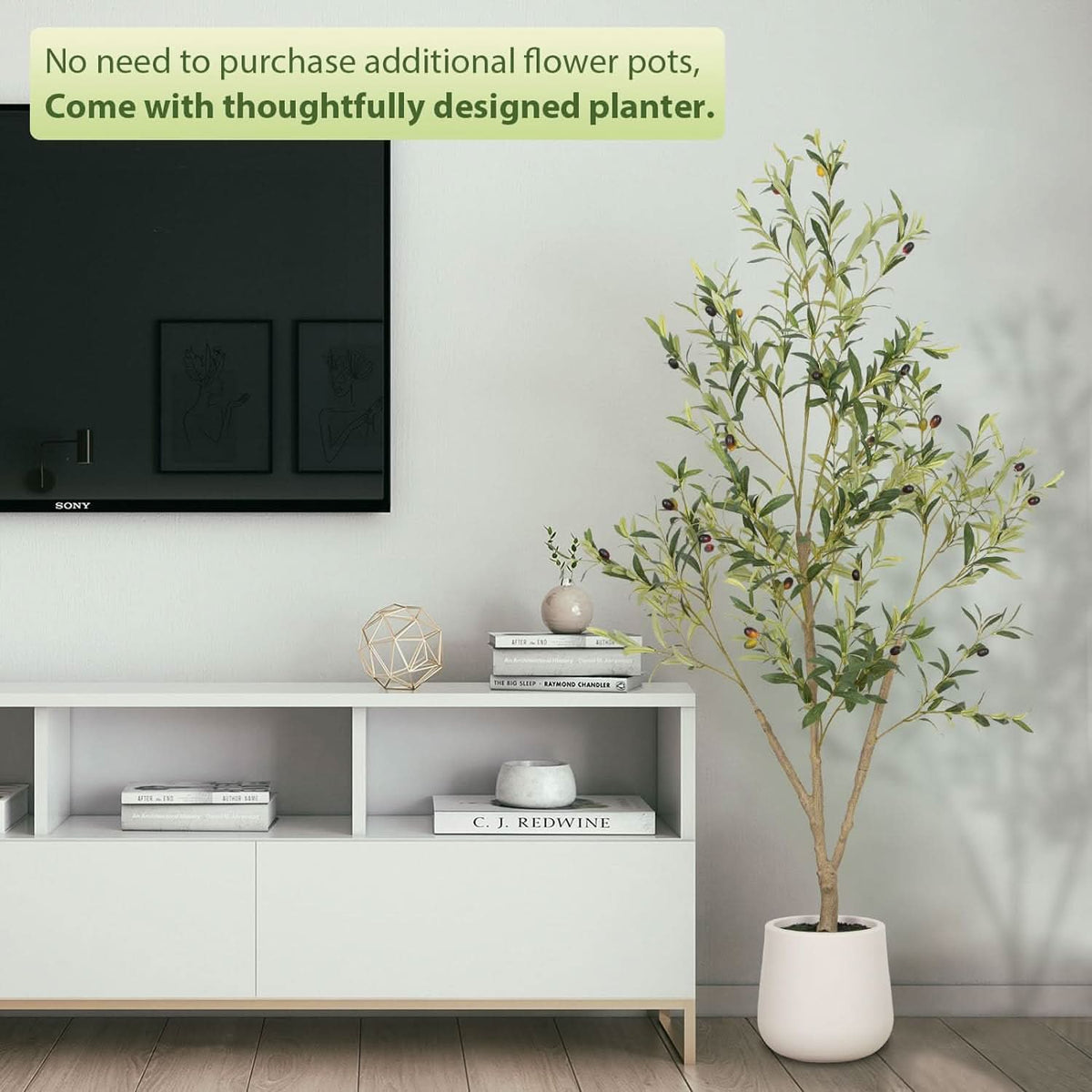 Mediterranean Olive Tree-4ft