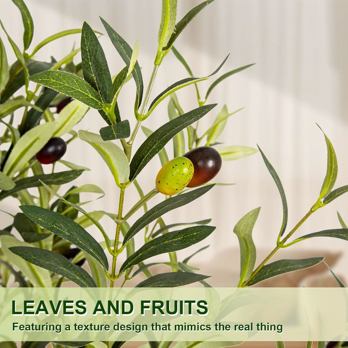 Mediterranean Olive Tree-4ft