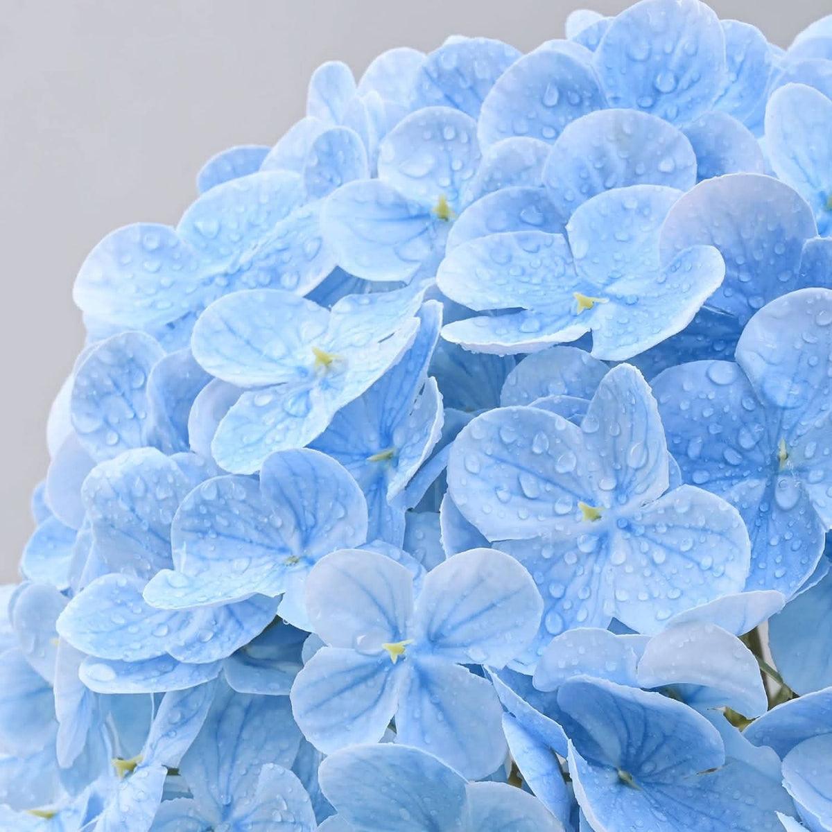 Blue Garden Hydrangea 6pcs  21"