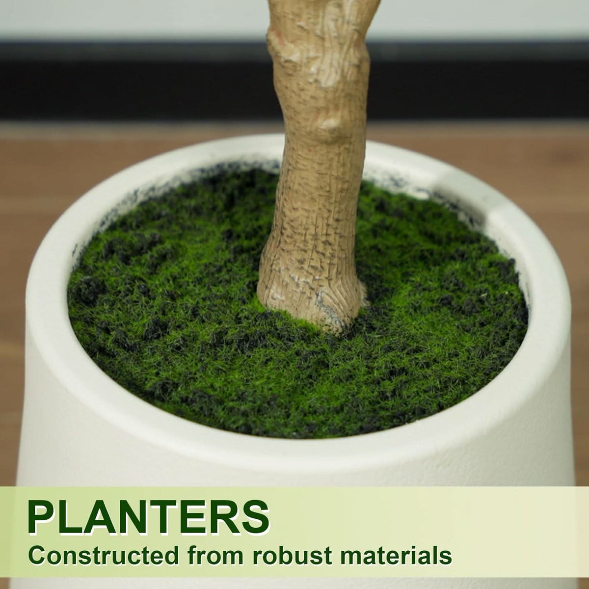 Mediterranean Olive Tree-4ft