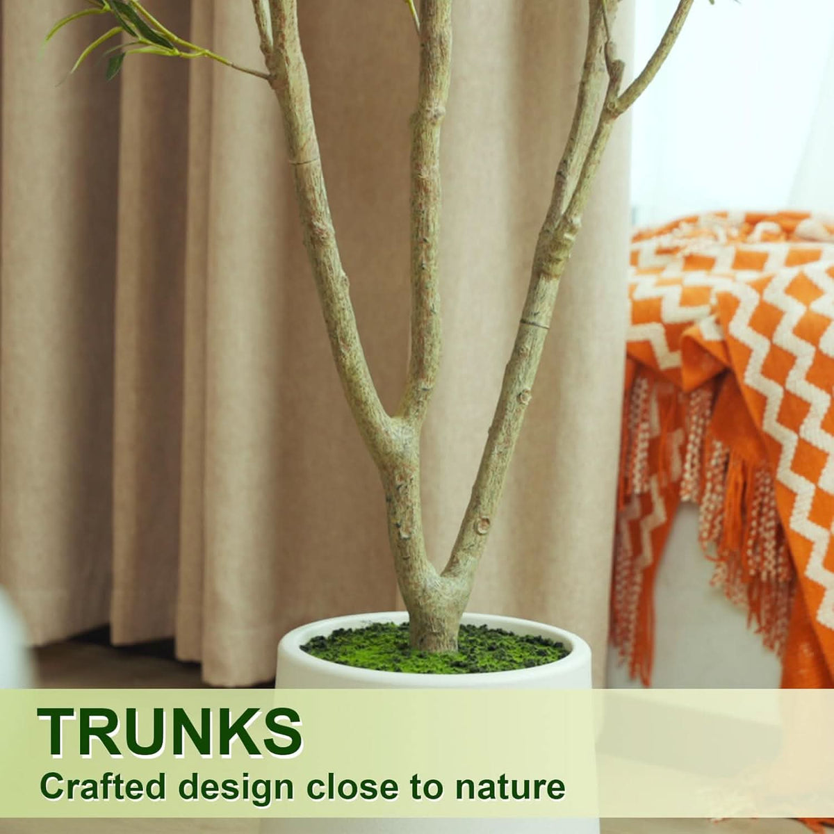 Mediterranean Olive Tree-4ft