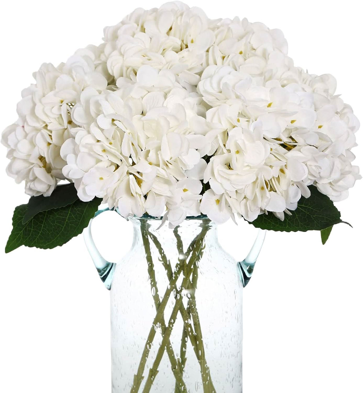 Ivory Garden Hydrangea