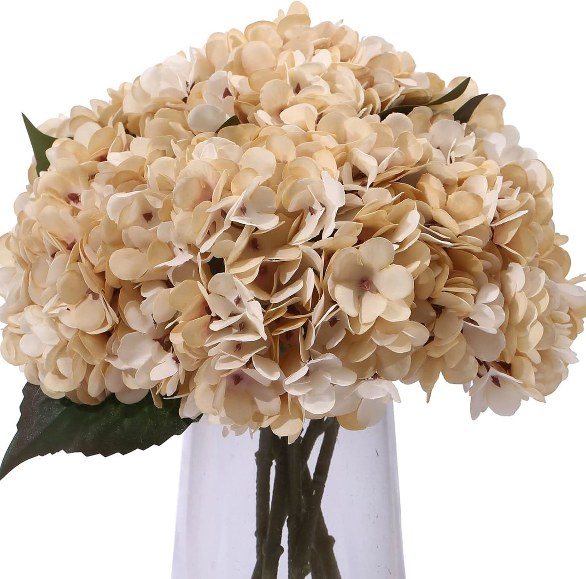Beige Cream Hydrangea 6pcs