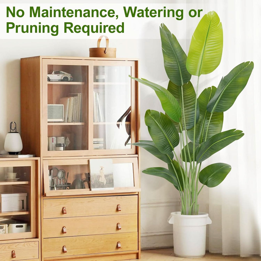 Emerald Oasis Bird of Paradise