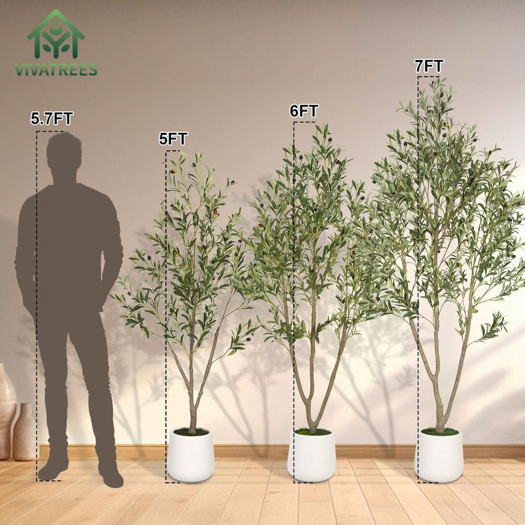 Mediterranean Olive Tree-4ft