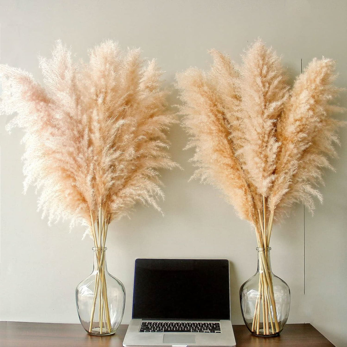 Prairie Luxe Tall Pampas Grass- 10 stems