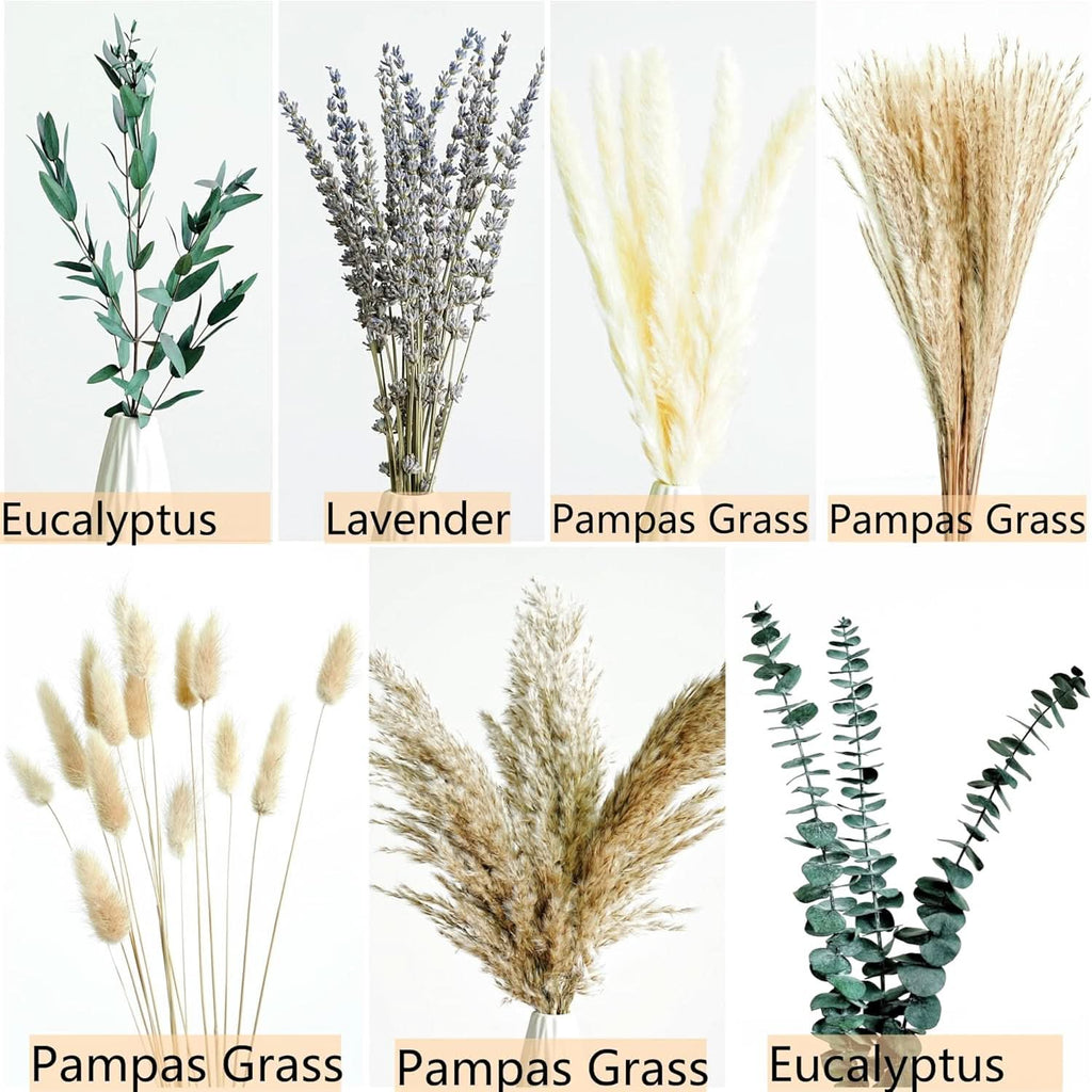 Golden Sage Pampas Grass