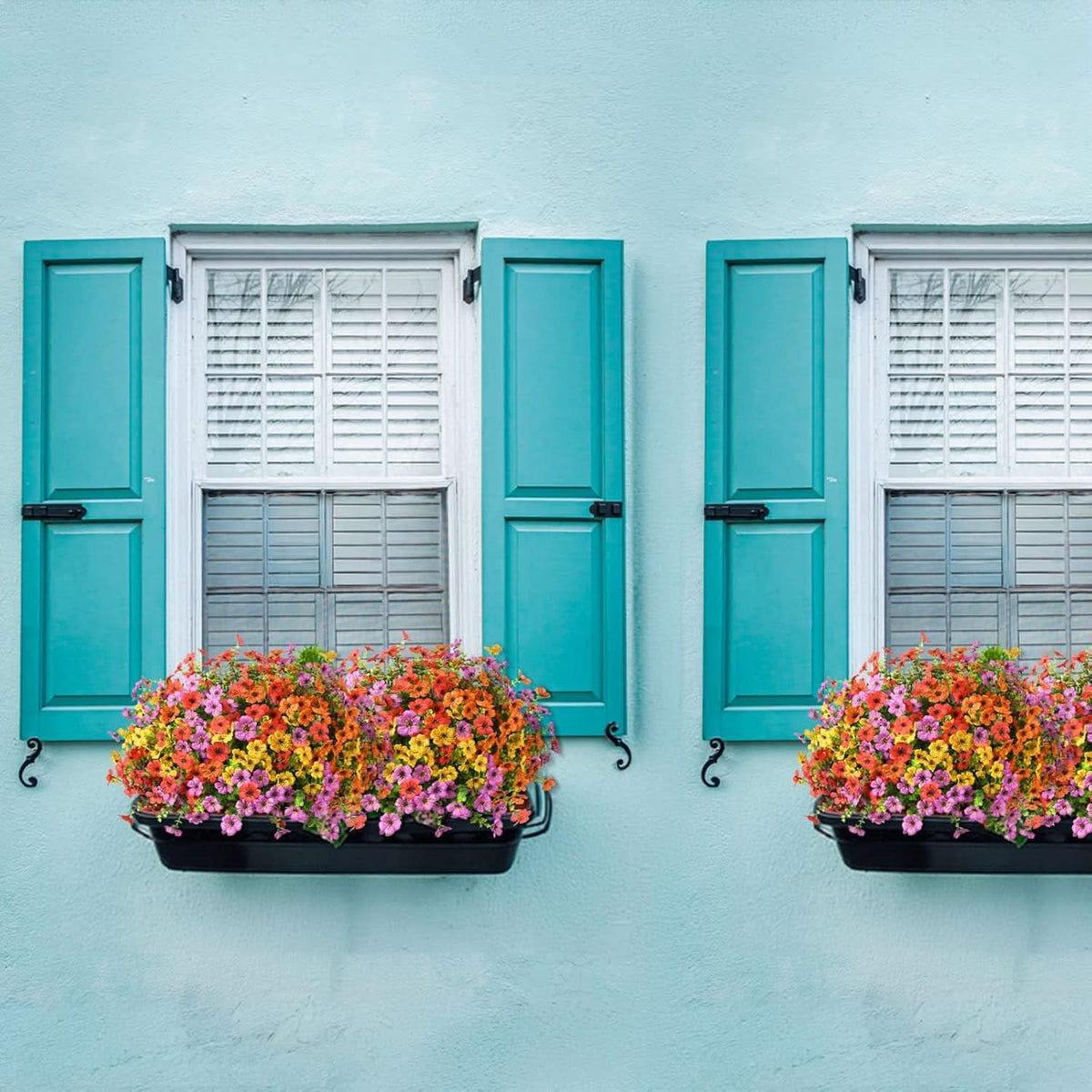 Vibrant Million Bells Outdoor