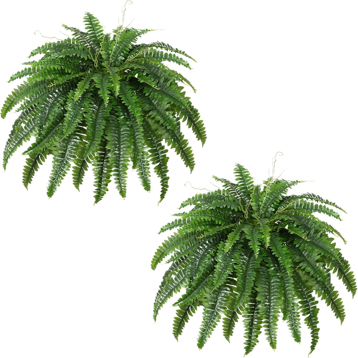Boston Fern Faux Plant – 55 Branches Each