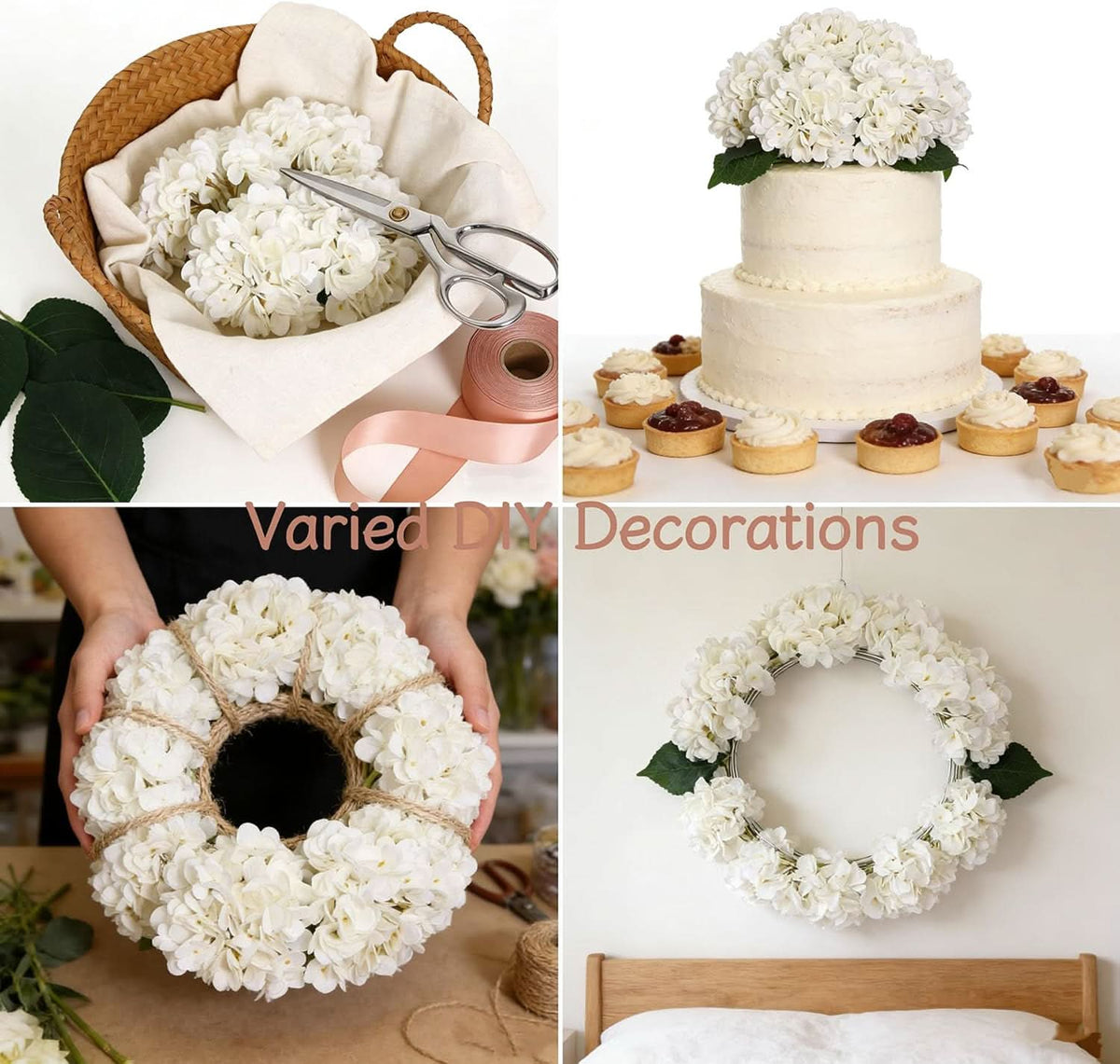 Ivory Garden Hydrangea