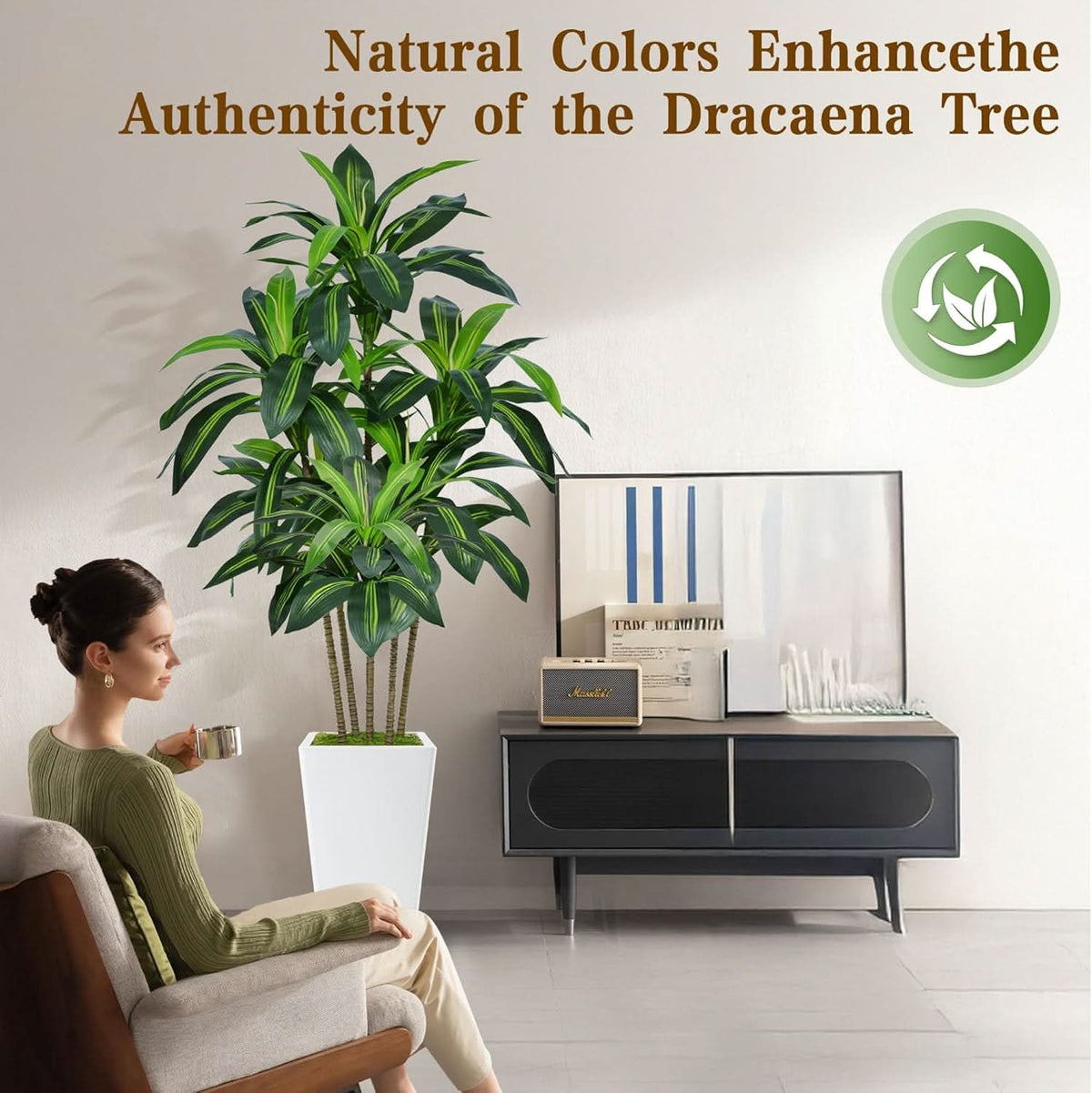 Ivory Haven Dracaena Tree