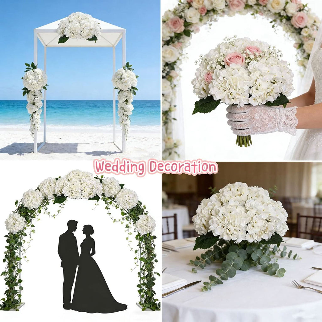 Ivory Garden Hydrangea