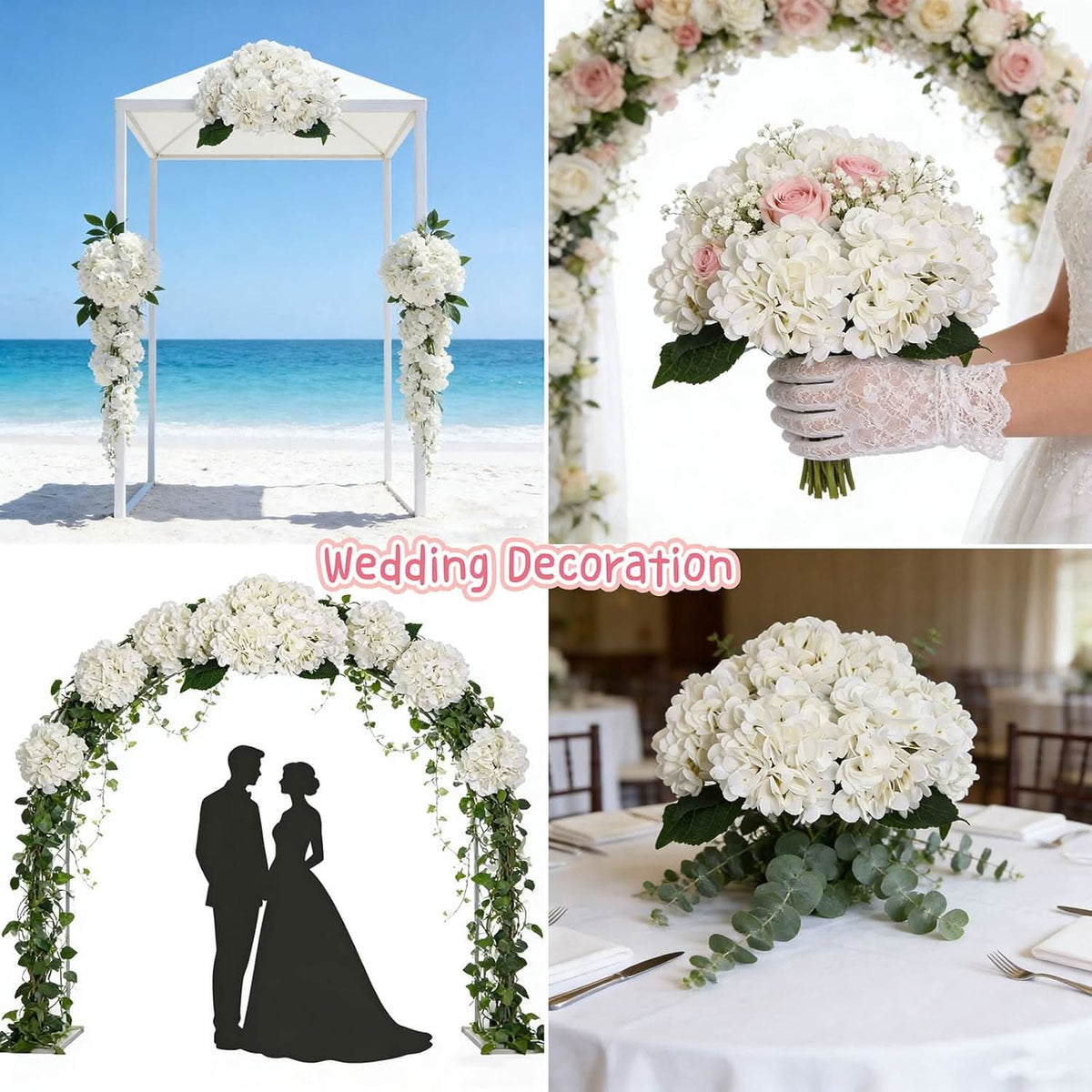 Ivory Garden Hydrangea