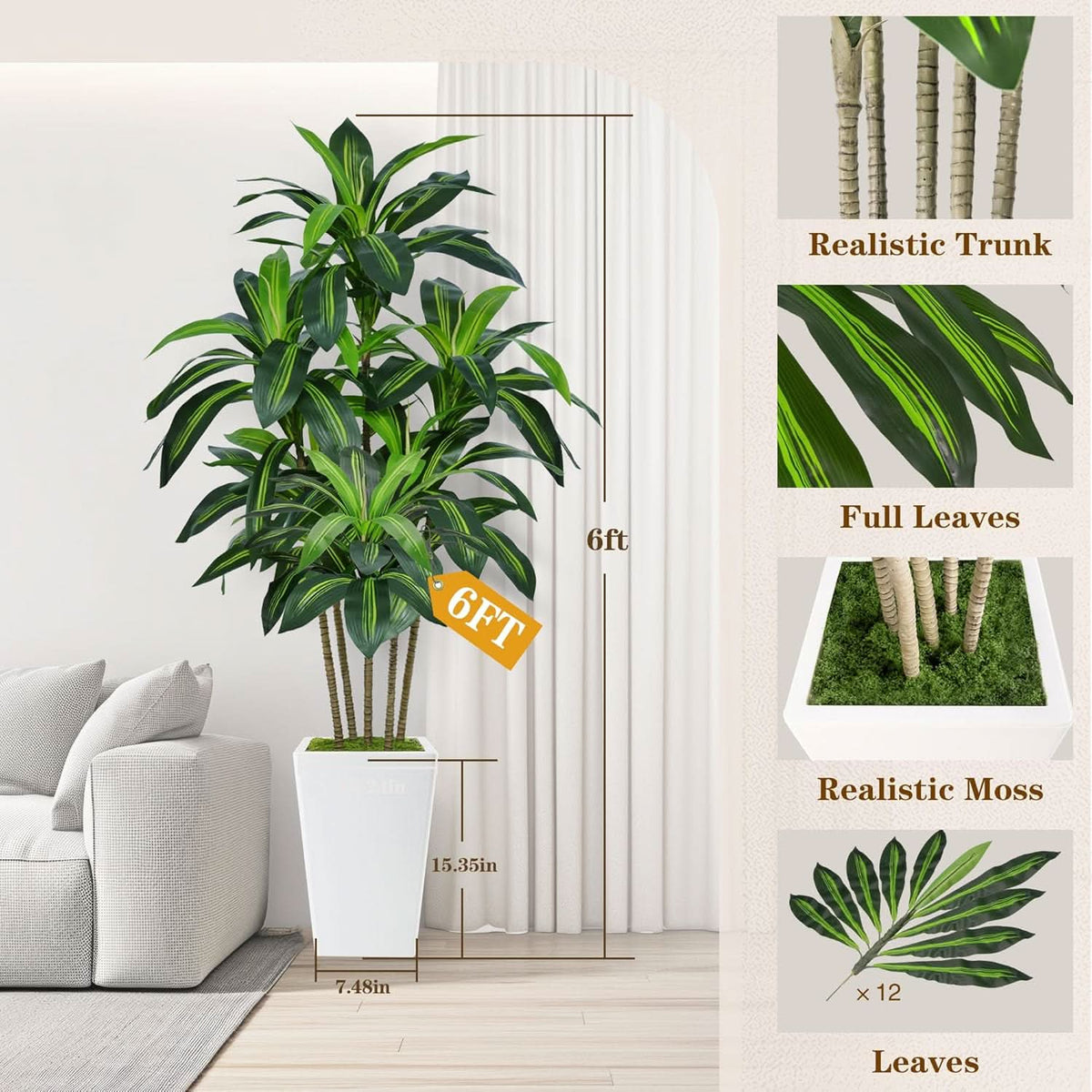 Ivory Haven Dracaena Tree