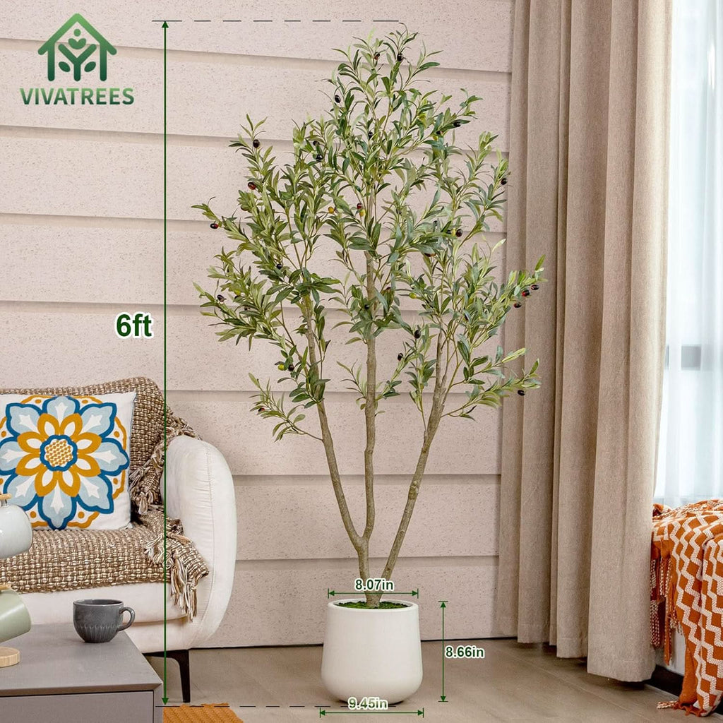 Mediterranean Olive Tree-4ft