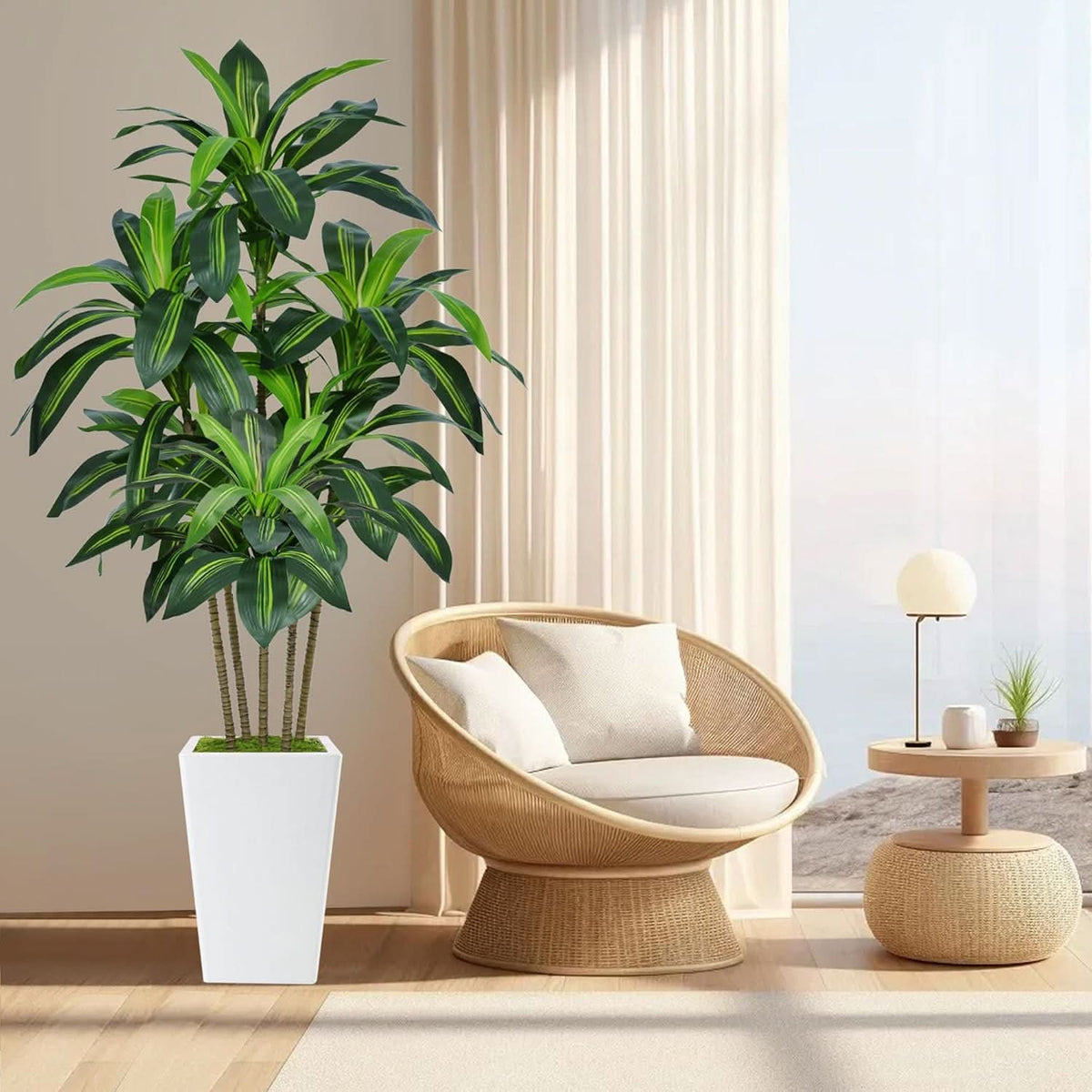Ivory Haven Dracaena Tree