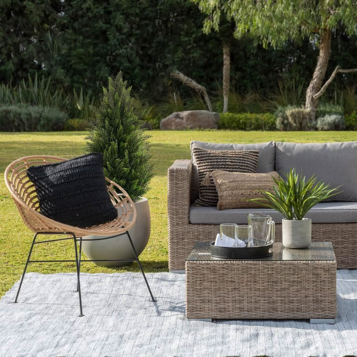 Heritage Grove Cedar Tree