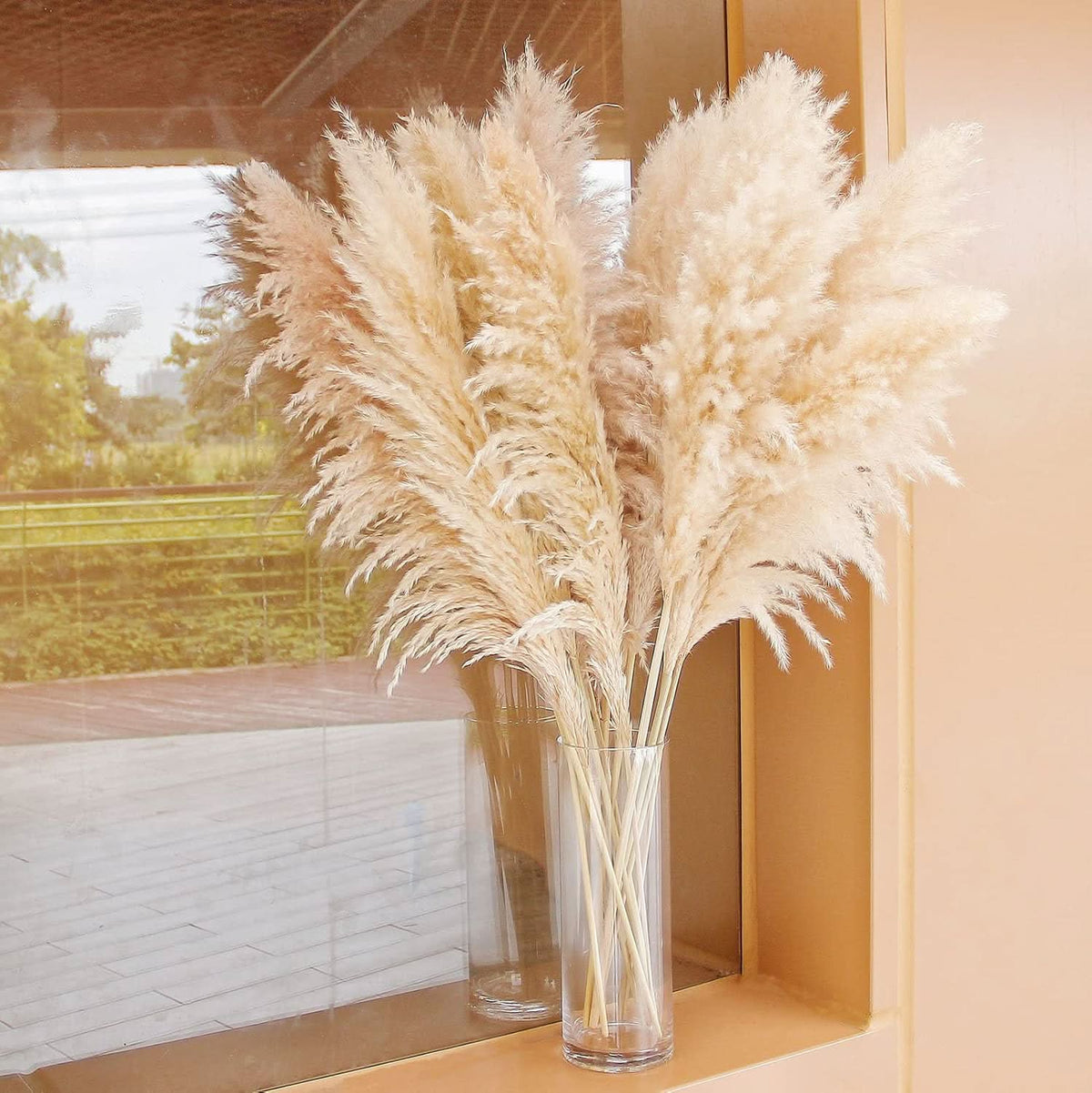 Prairie Luxe Tall Pampas Grass- 10 stems