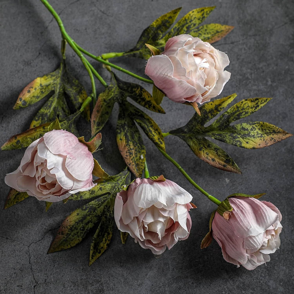 Vintage Garden Peony 8pcs