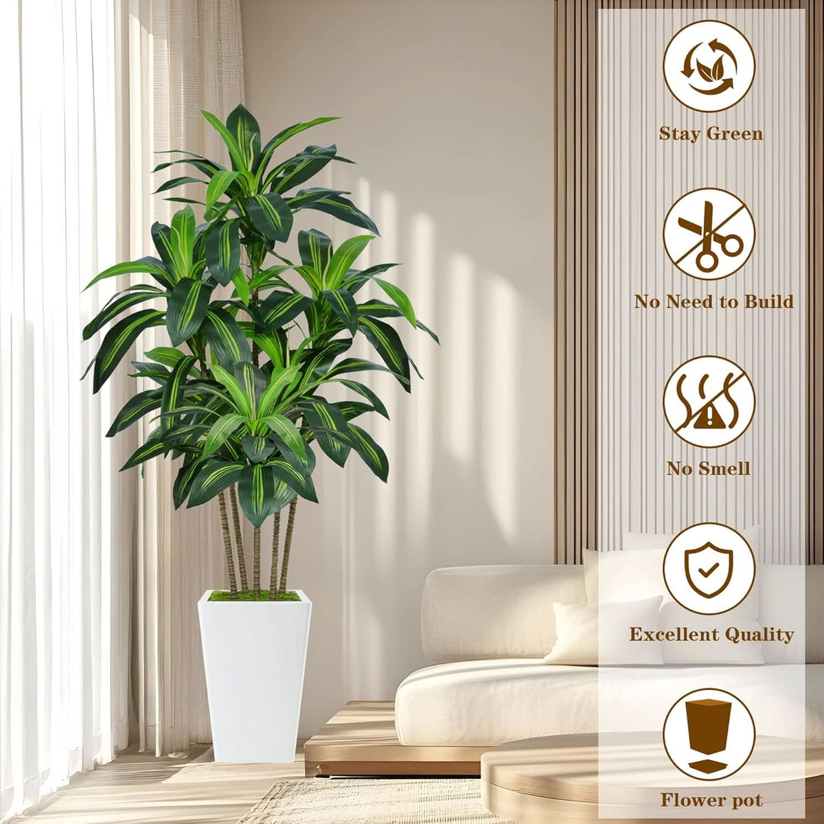 Ivory Haven Dracaena Tree