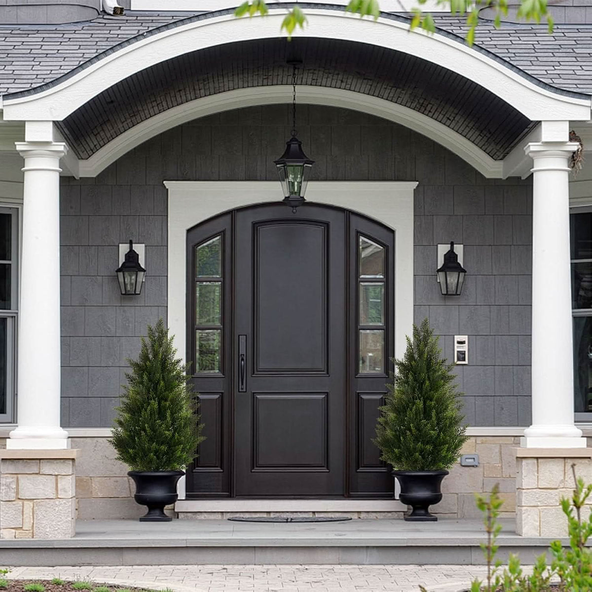 Heritage Grove Cedar Tree