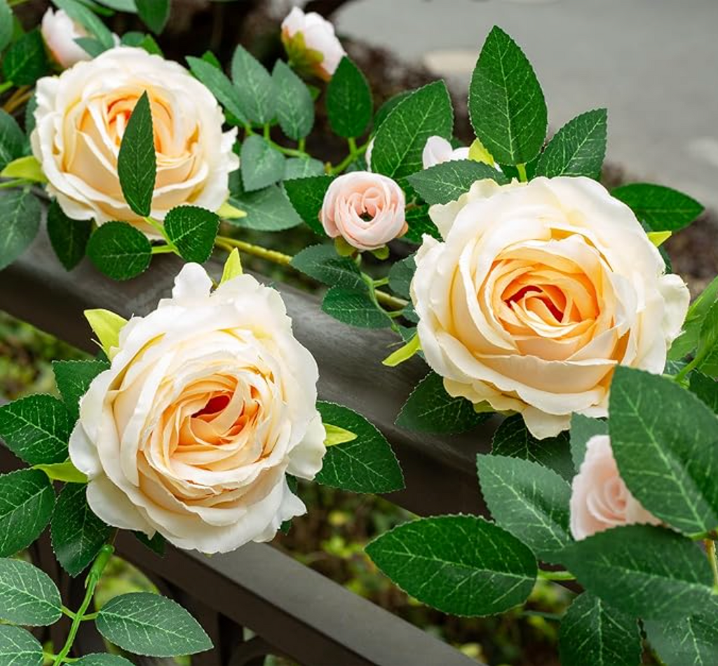 Champagne Garden 4-Piece 26ft Rose Vine