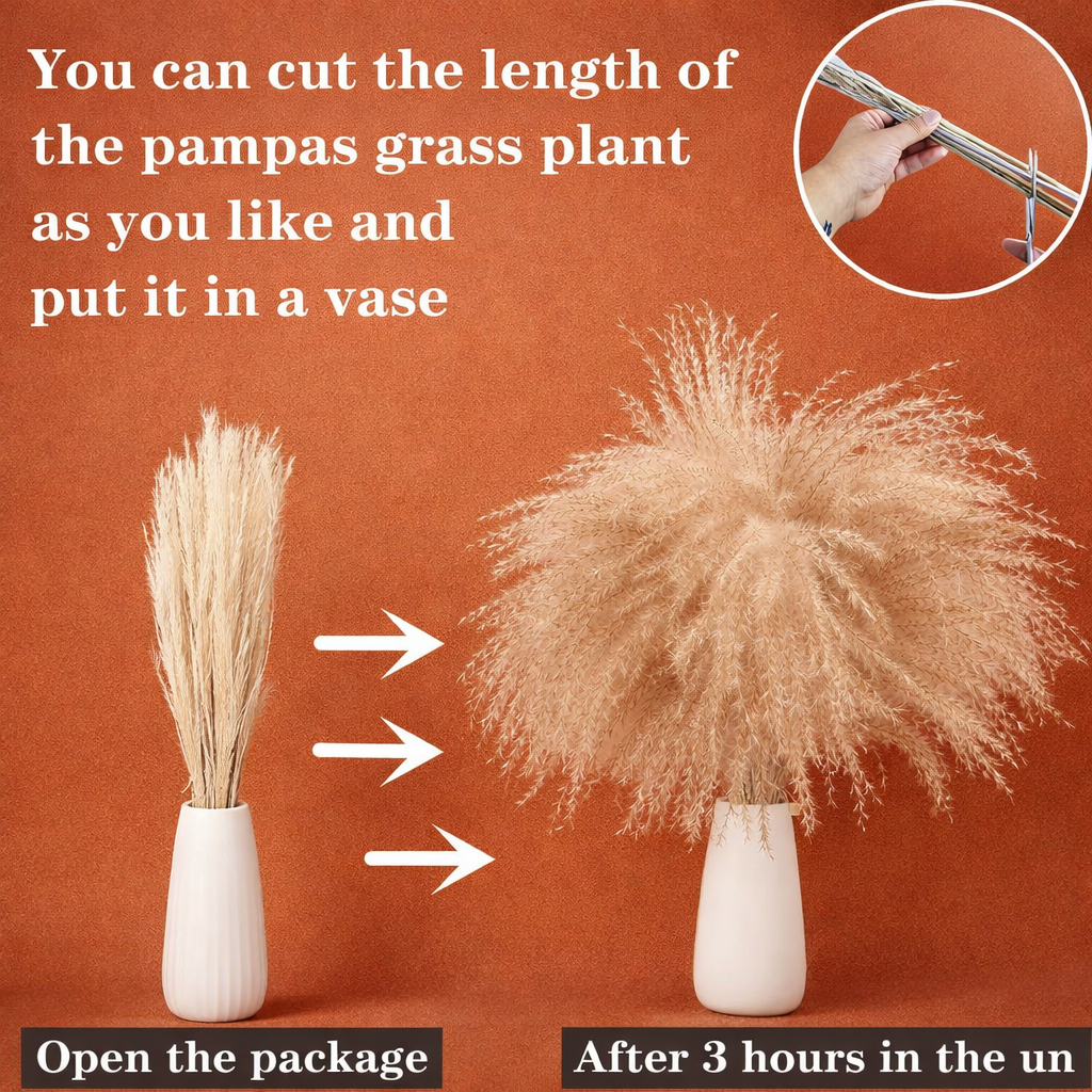 Bohemian Meadow Pampas Grass