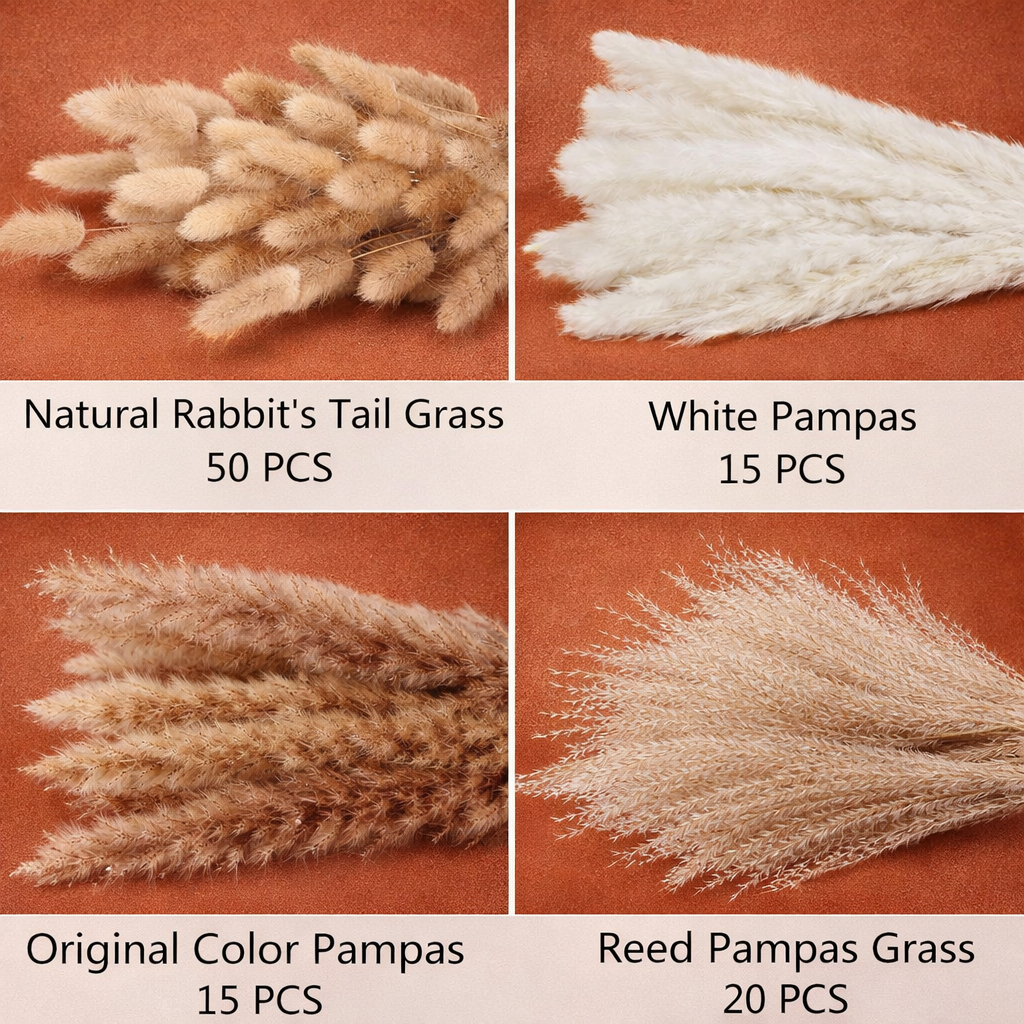 Champagne Prairie Pampas Grass