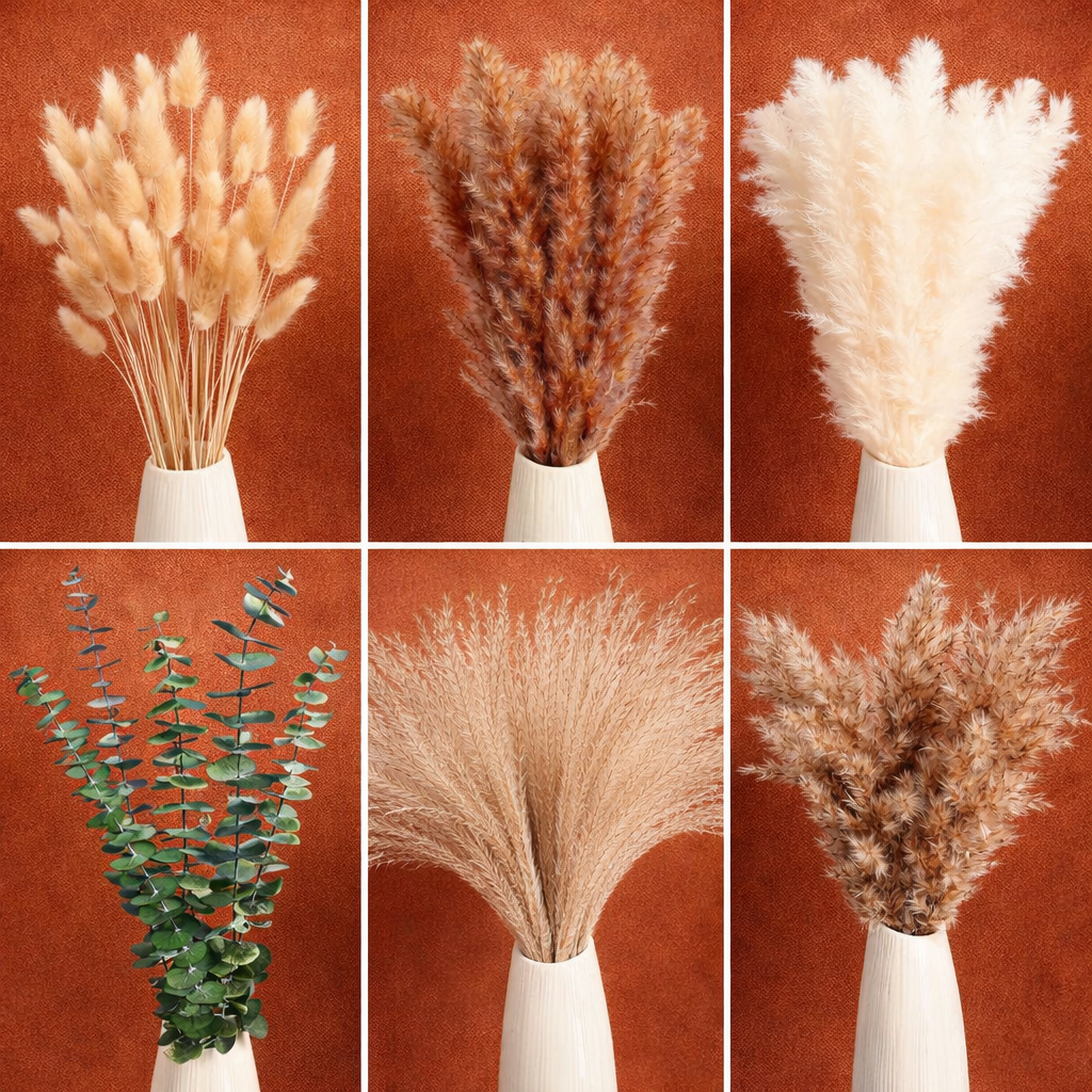 Bohemian Meadow Pampas Grass