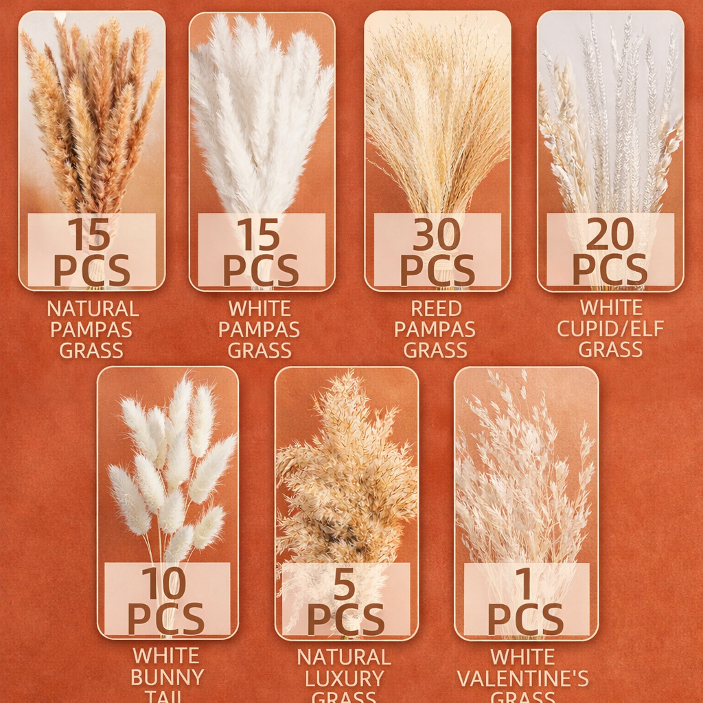 Desert Glow Pampas Grass – 96 Stems