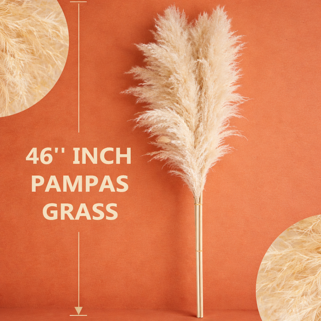 Prairie Luxe Tall Pampas Grass- 10 stems