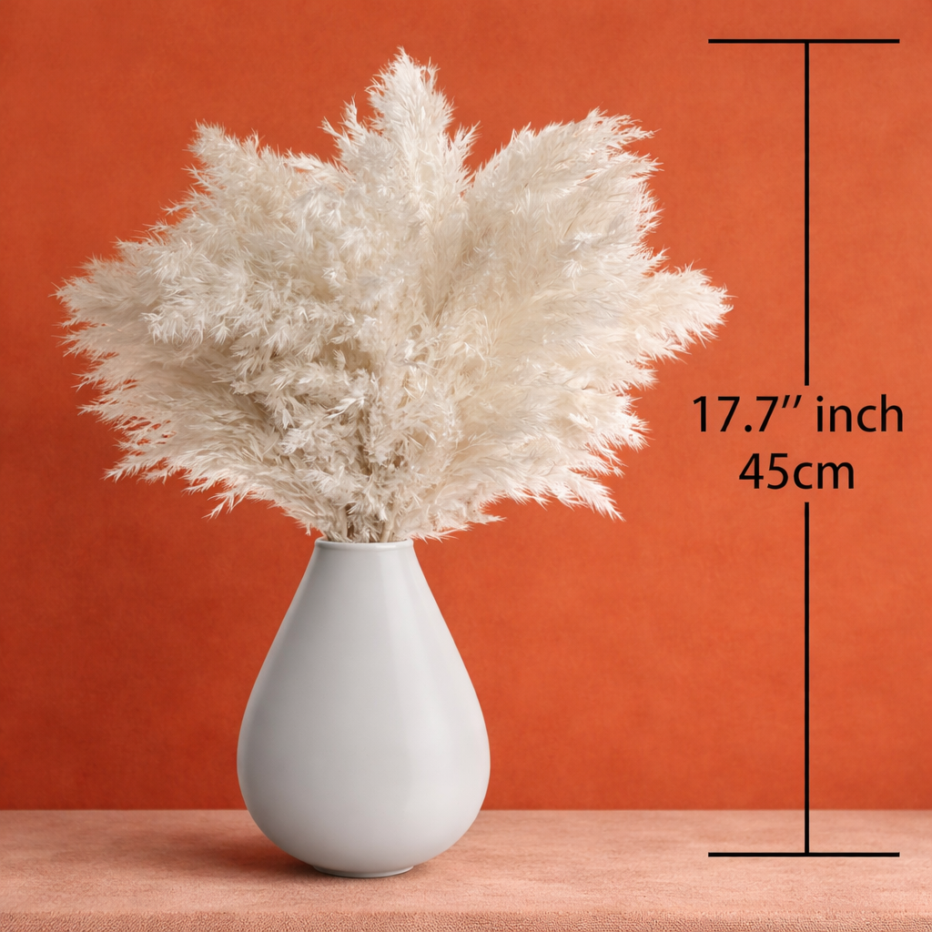 Pearl Horizon Pampas Grass